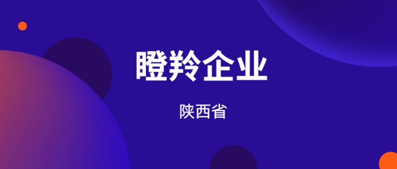 陜西省科學技術(shù)廳關(guān)于開展2021年瞪羚企業(yè)培育認定工作的通知